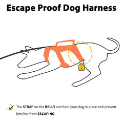 Huntboo escape-proof harness reflective design boosts night visibility for safety.