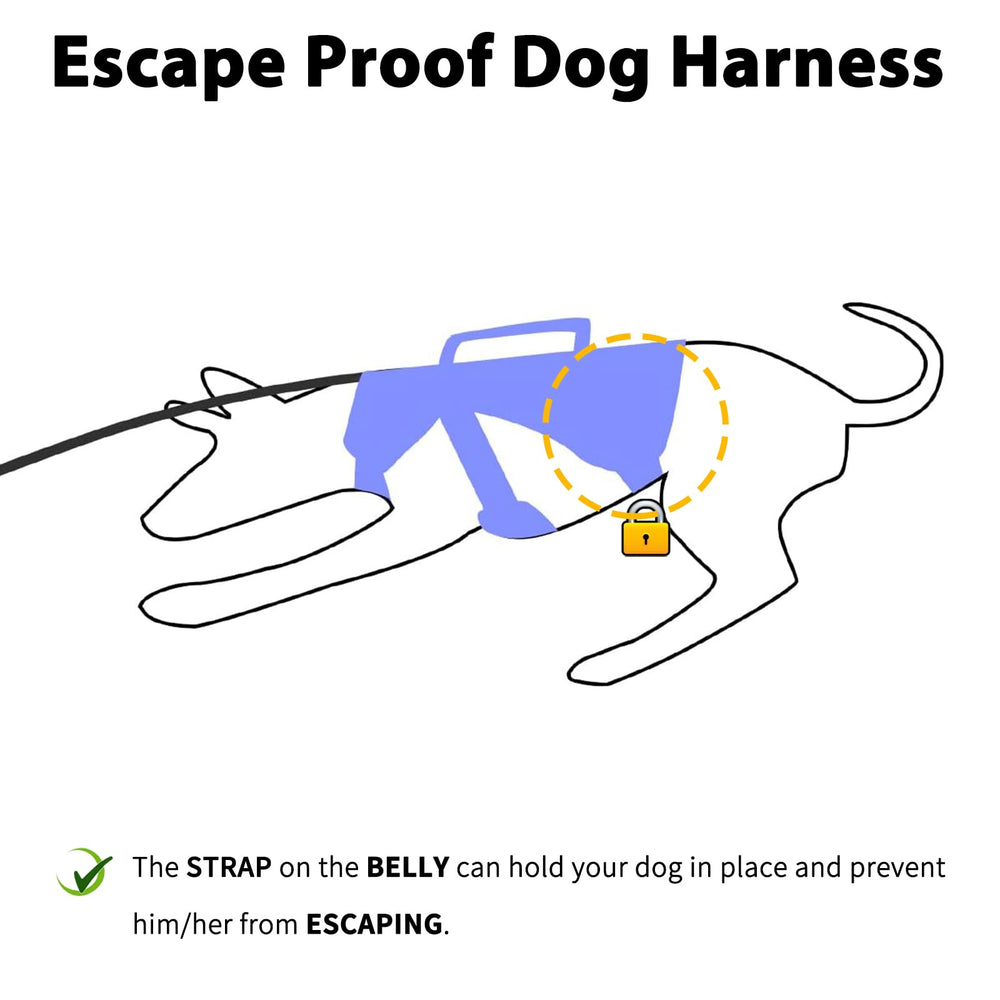 Huntboo Escape Proof Harness side view highlights adjustable straps for growing dogs.