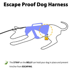 Huntboo Escape Proof Harness side view highlights adjustable straps for growing dogs.