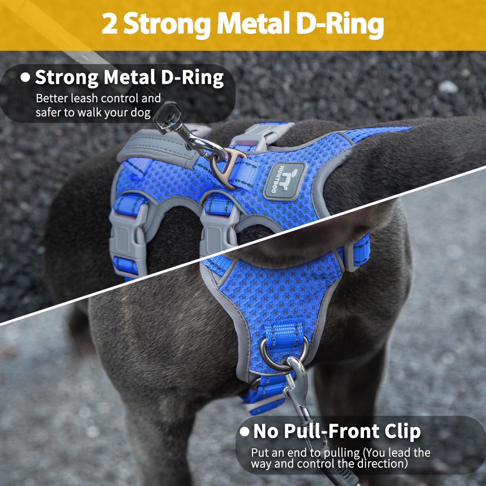 Huntboo five-point adjustable harness adapts to growing dogs and different shapes.