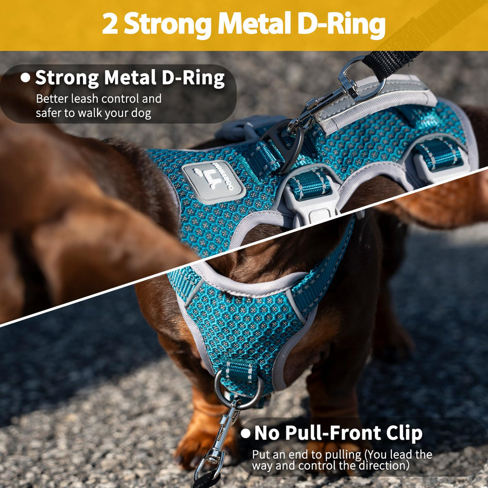 Huntboo five-point adjustable harness with quick-release buckles
