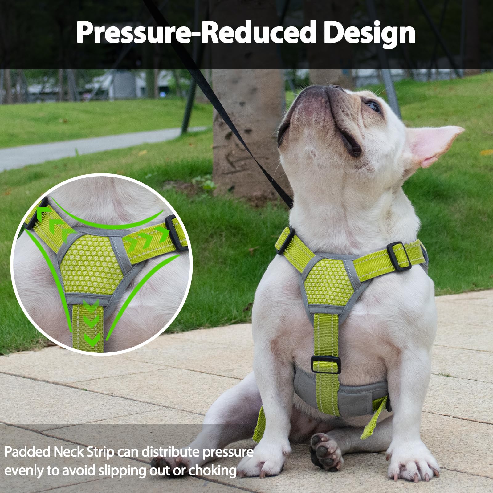 Huntboo Five-point adjustable fit supports growing dogs comfortably.