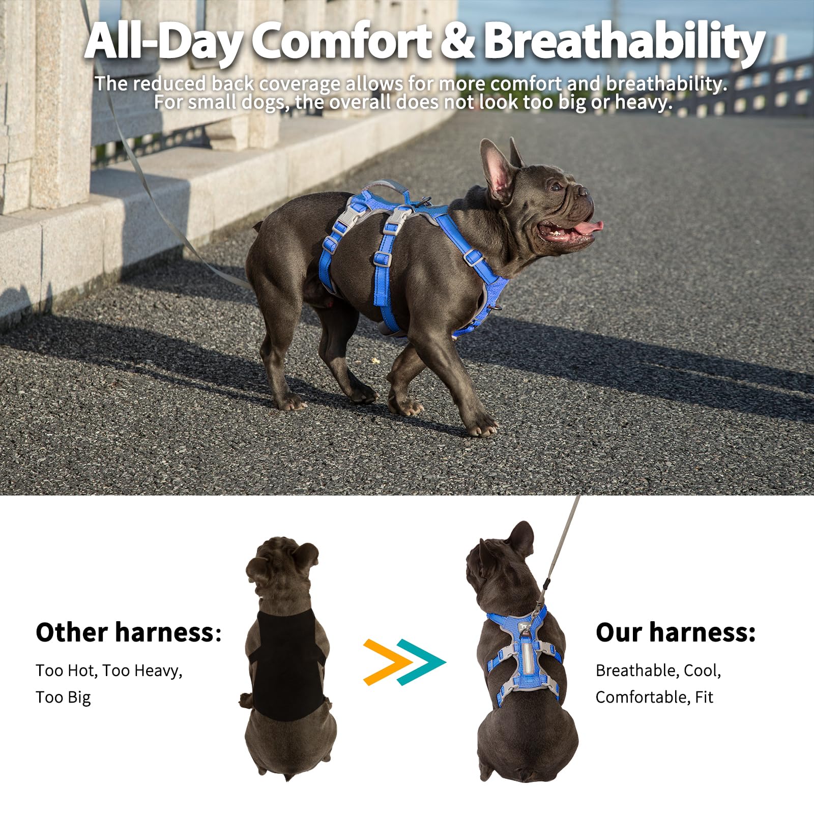 Huntboo front and back D-ring harness for effective leash control and redirection.