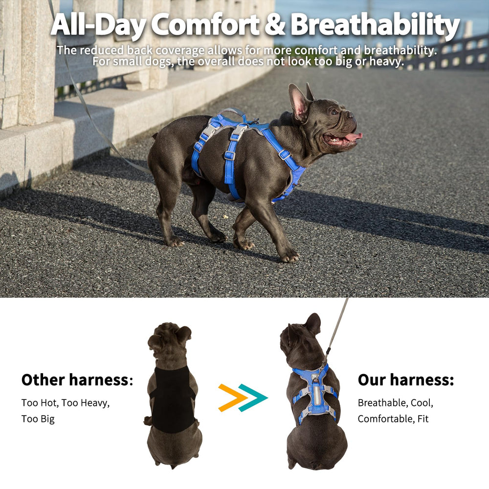 Huntboo front and back D-ring harness for effective leash control and redirection.
