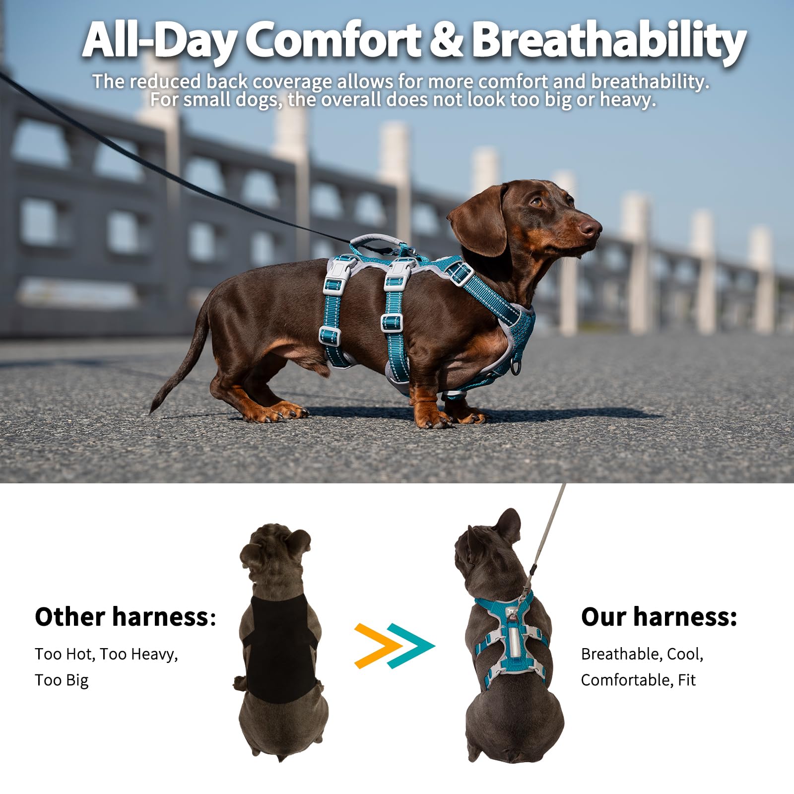 Huntboo harness with front and back D-ring clips for versatile control