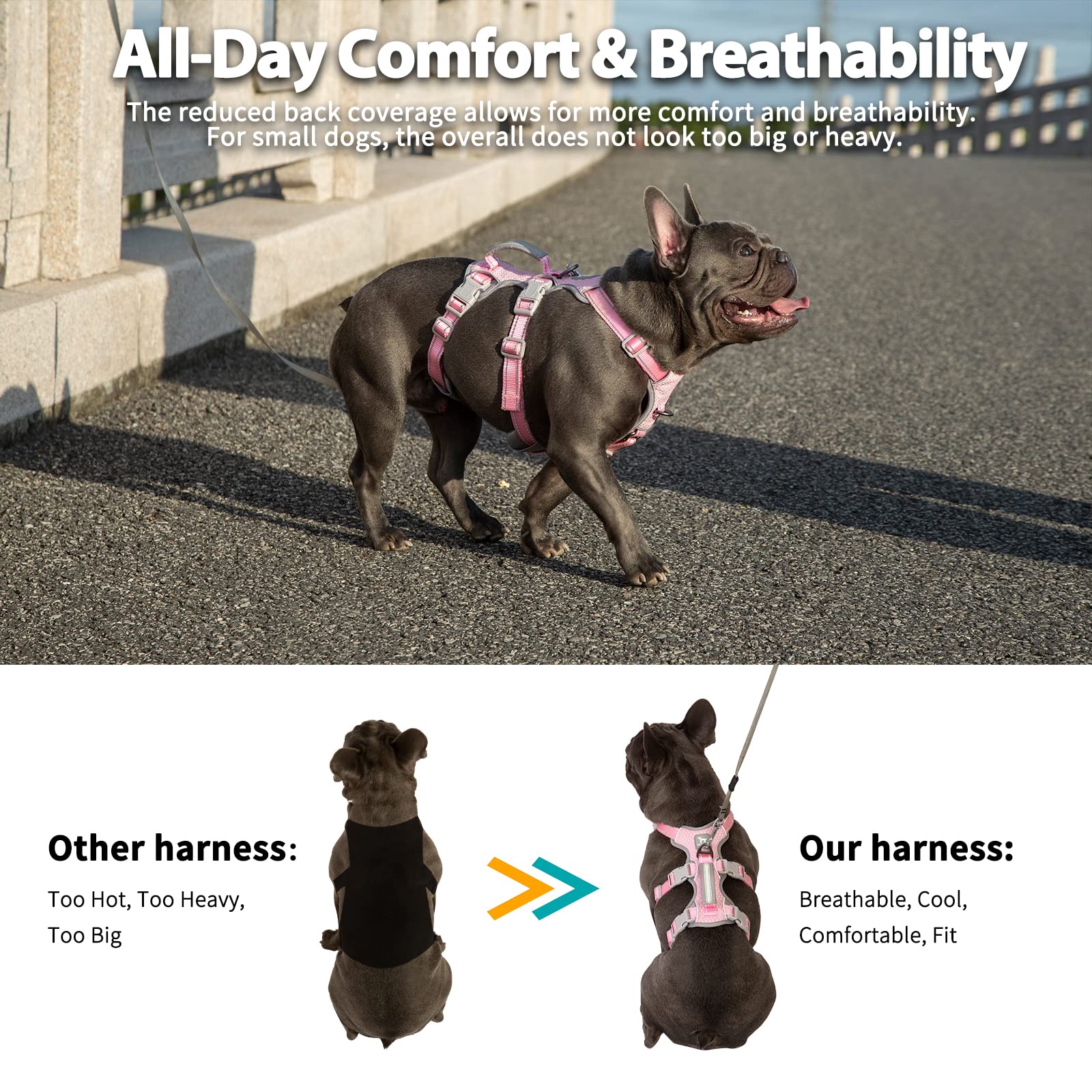 Huntboo front and back D-ring clips for versatile leash control.