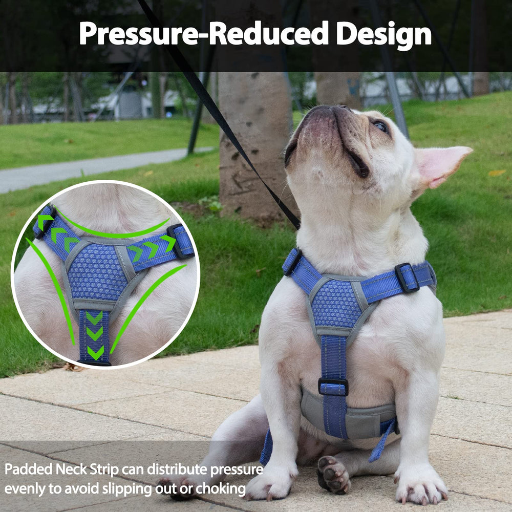 Huntboo Handle design close-up demonstrates secure lifting and obstacle assistance.