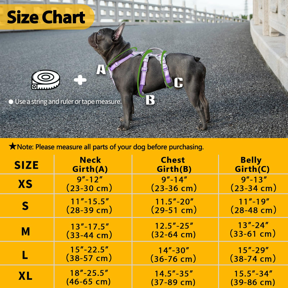 Huntboo harness back D-ring clip supports secure leash control on walks.