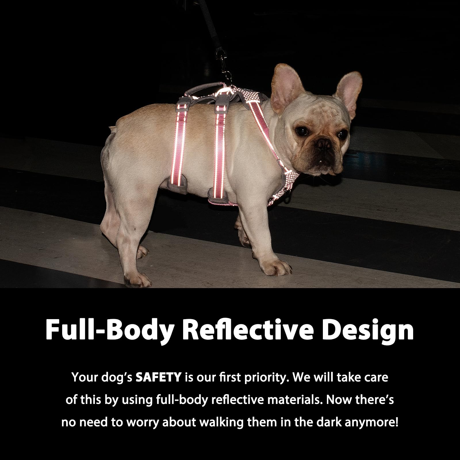 Huntboo harness handle close-up demonstrates sturdy grip for lifting and assistance.