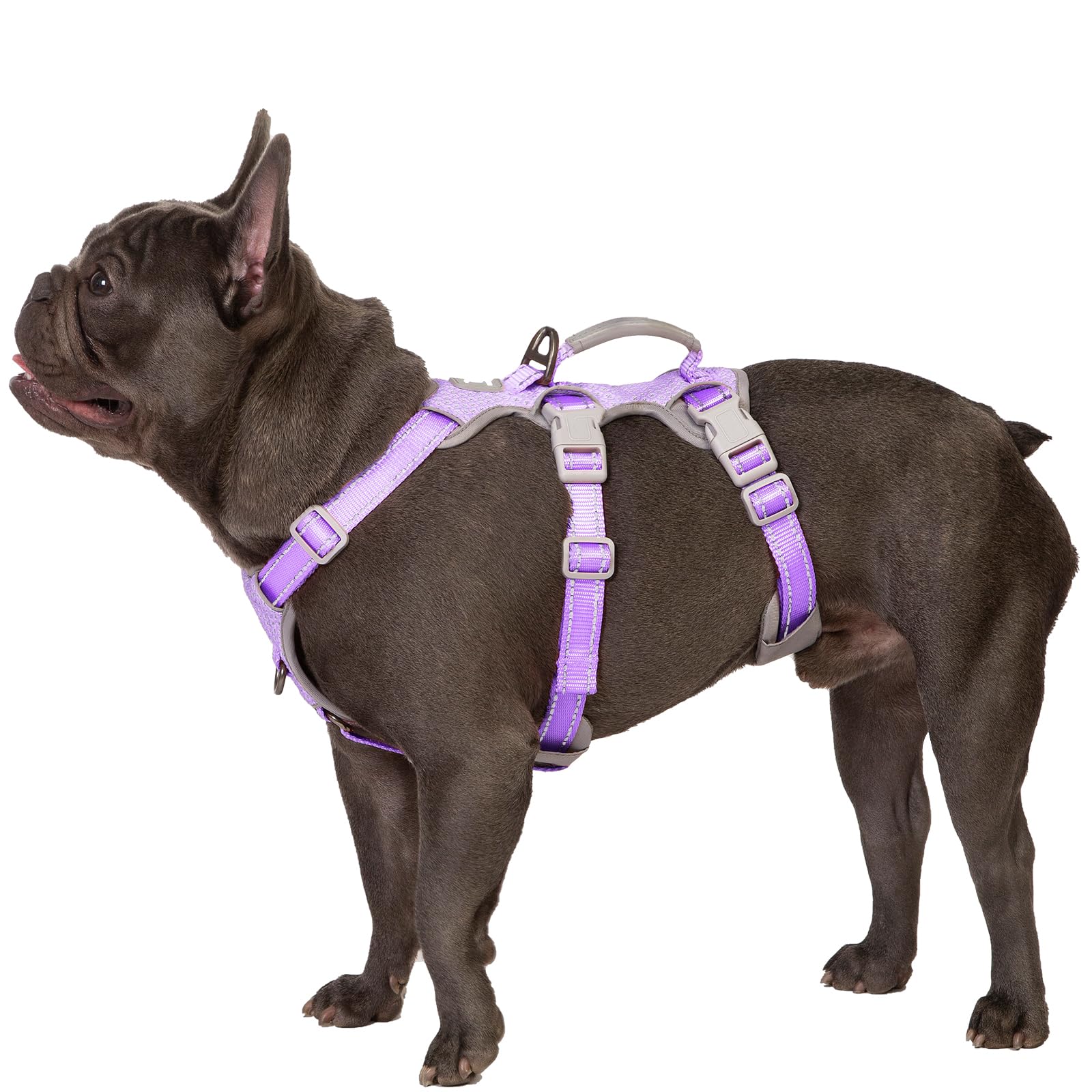 Huntboo lavender purple escape-proof harness with reflective handle for secure control during walks