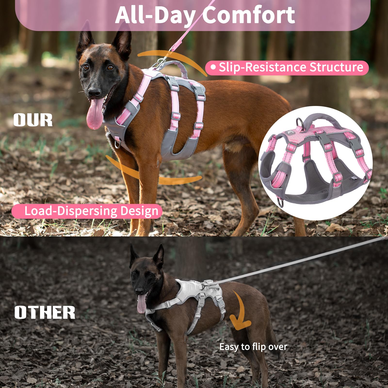 Huntboo lightweight harness supports long walks and training sessions