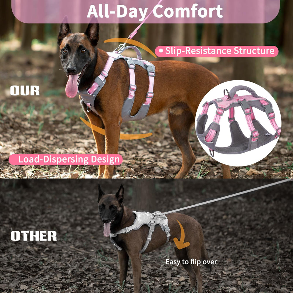 Huntboo lightweight harness supports long walks and training sessions