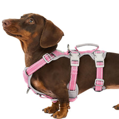 Huntboo No Escape Harness in pink with full-body reflective design for safer night walks.