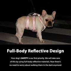 Huntboo padded handle enables quick, secure control over obstacles.