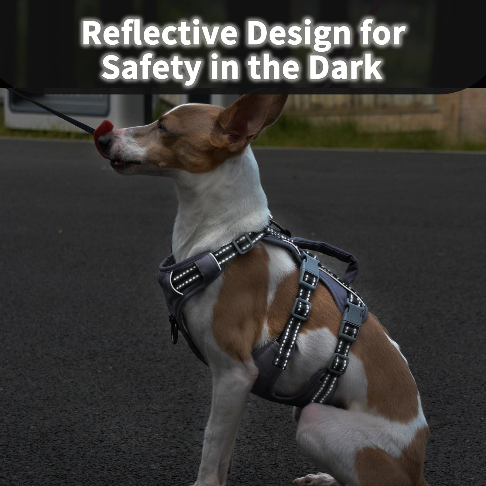 Huntboo padded handle dog lift for controlled guidance during outdoor tasks.