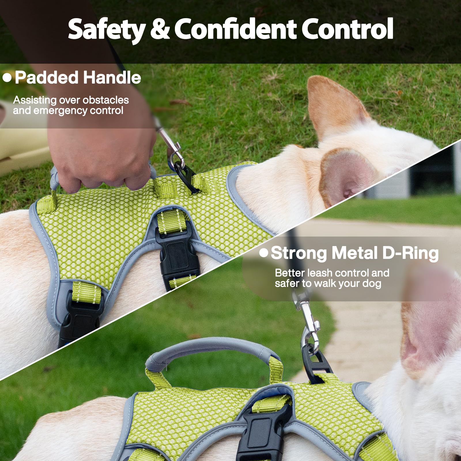 Huntboo Harness with padded handle helps dogs over obstacles during training or hikes.