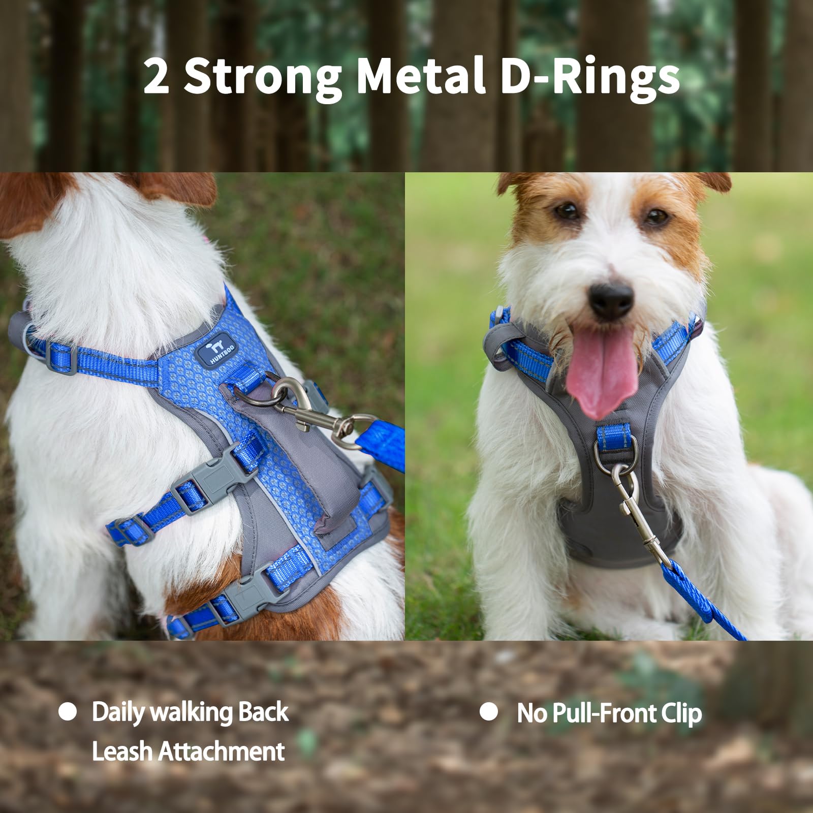 Huntboo Padded handle provides a secure grip during training and obstacle navigation.