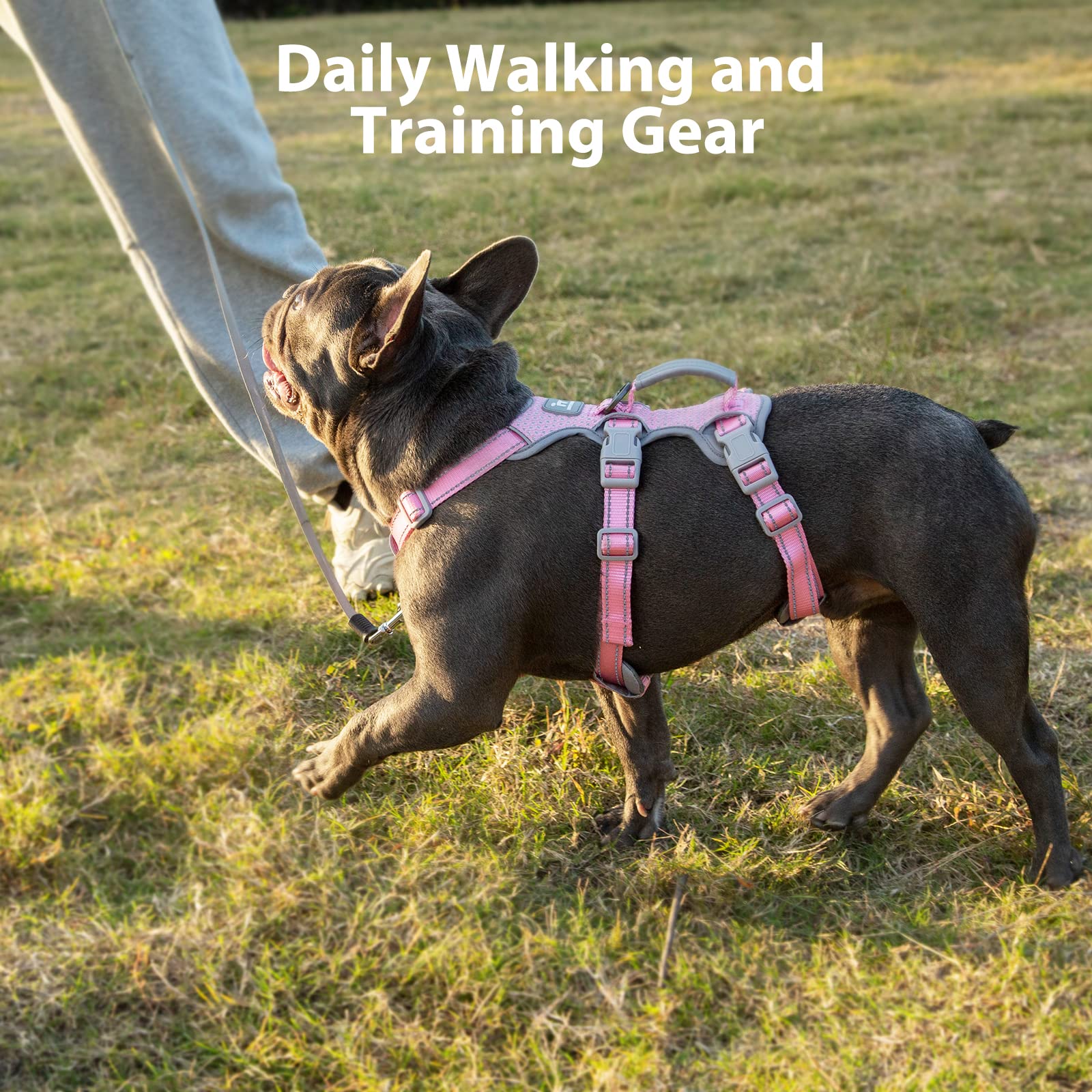 Huntboo quick-release buckles simplify on-and-off during training sessions.