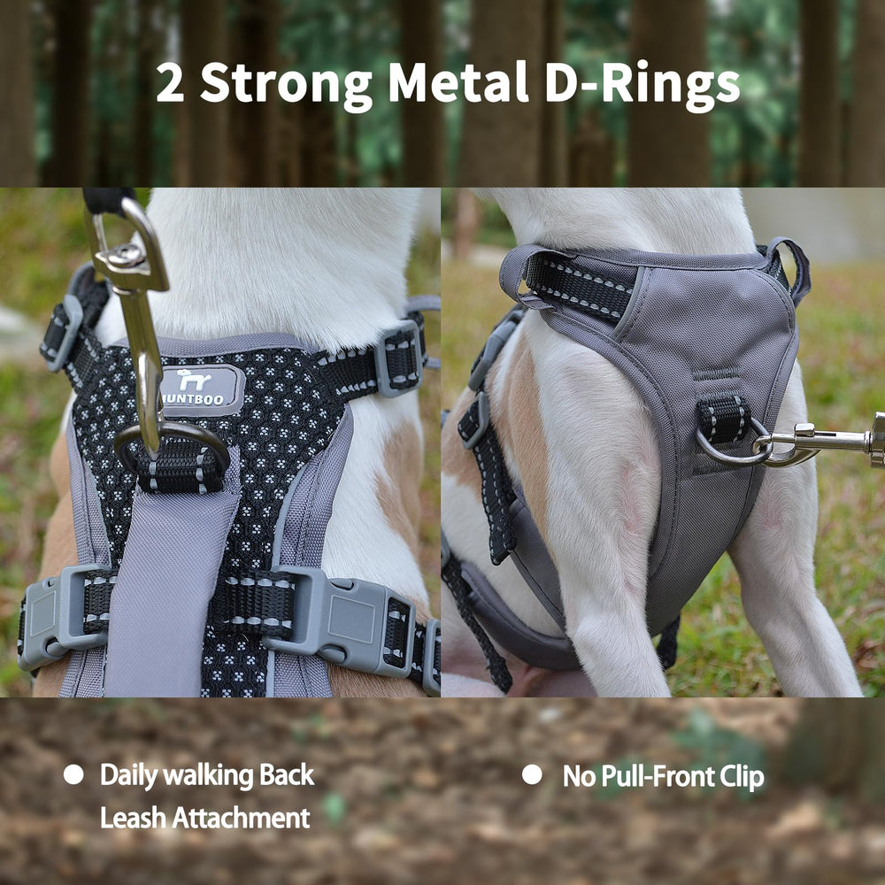 Huntboo reflective back panel increases visibility during low-light training and walks.