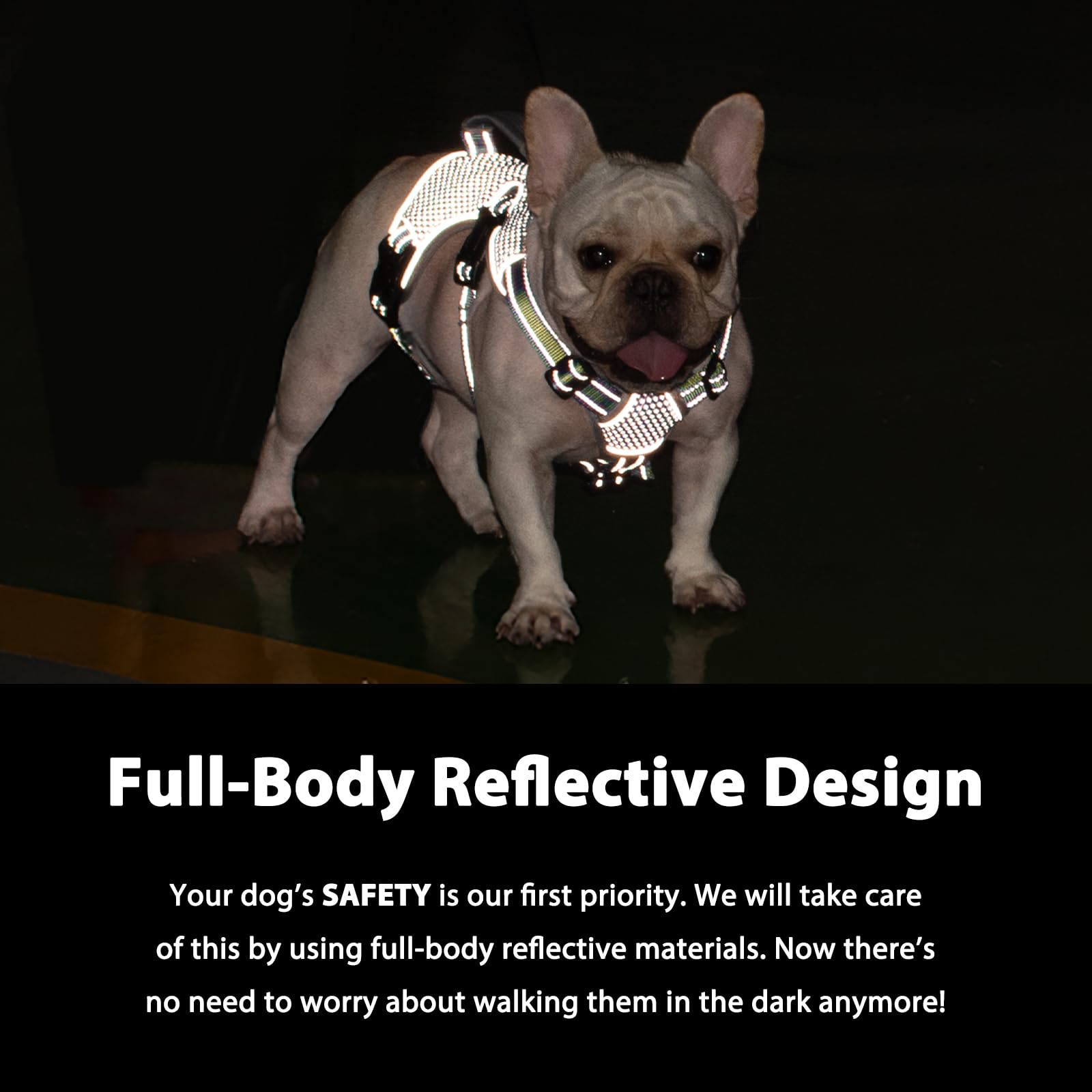 Huntboo Reflective design used during night walks for enhanced visibility and safety.