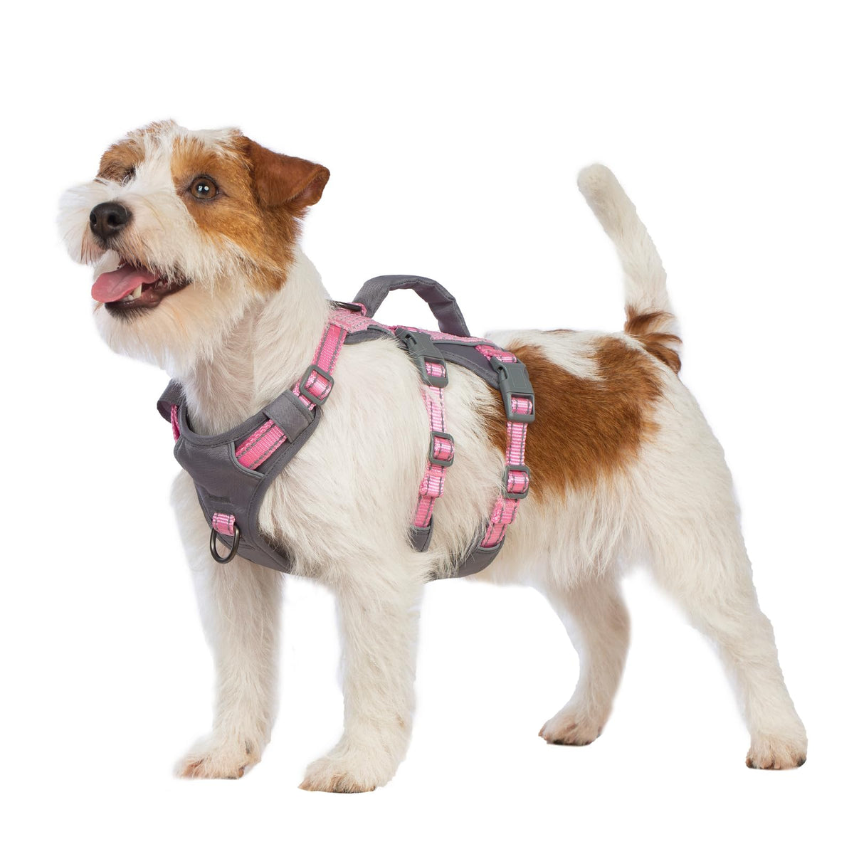 Huntboo reflective dog harness with padded handle for secure lifting