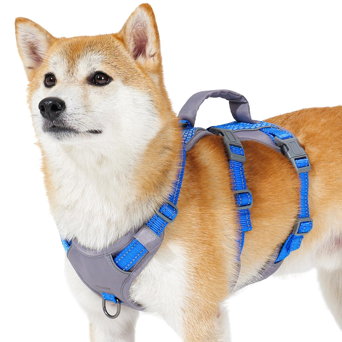 Huntboo Reflective Dog Harness with padded handle for safer nighttime walks.