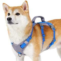 Huntboo Reflective Dog Harness with padded handle for safer nighttime walks.
