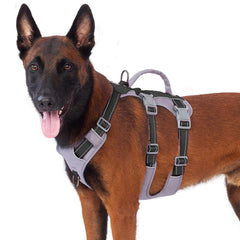 Huntboo reflective dog harness with handle for safer evening walks.