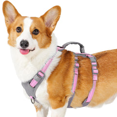 Huntboo reflective dog harness with handle for safer nighttime walks