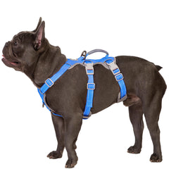 Huntboo sea-blue escape-proof harness with secure no-slip grip for confident control.