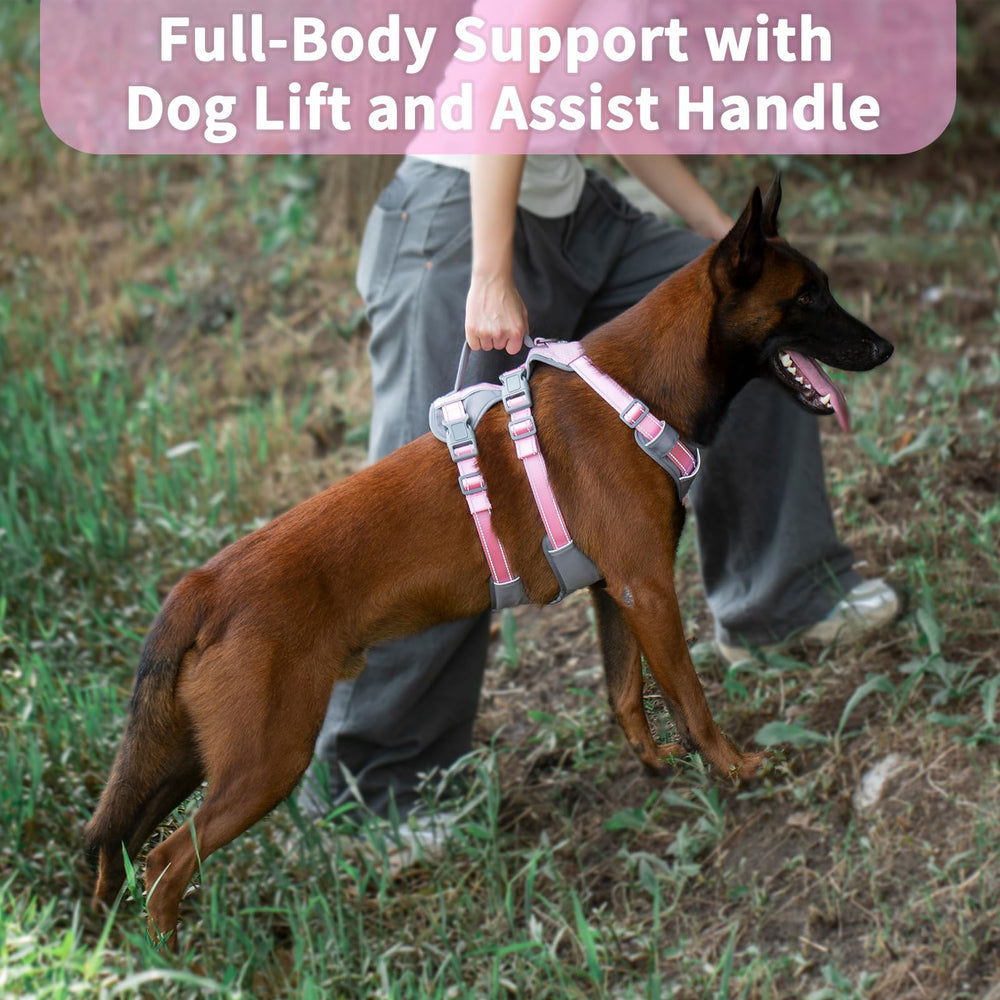 Huntboo six-point adjustment secures a custom fit for any dog