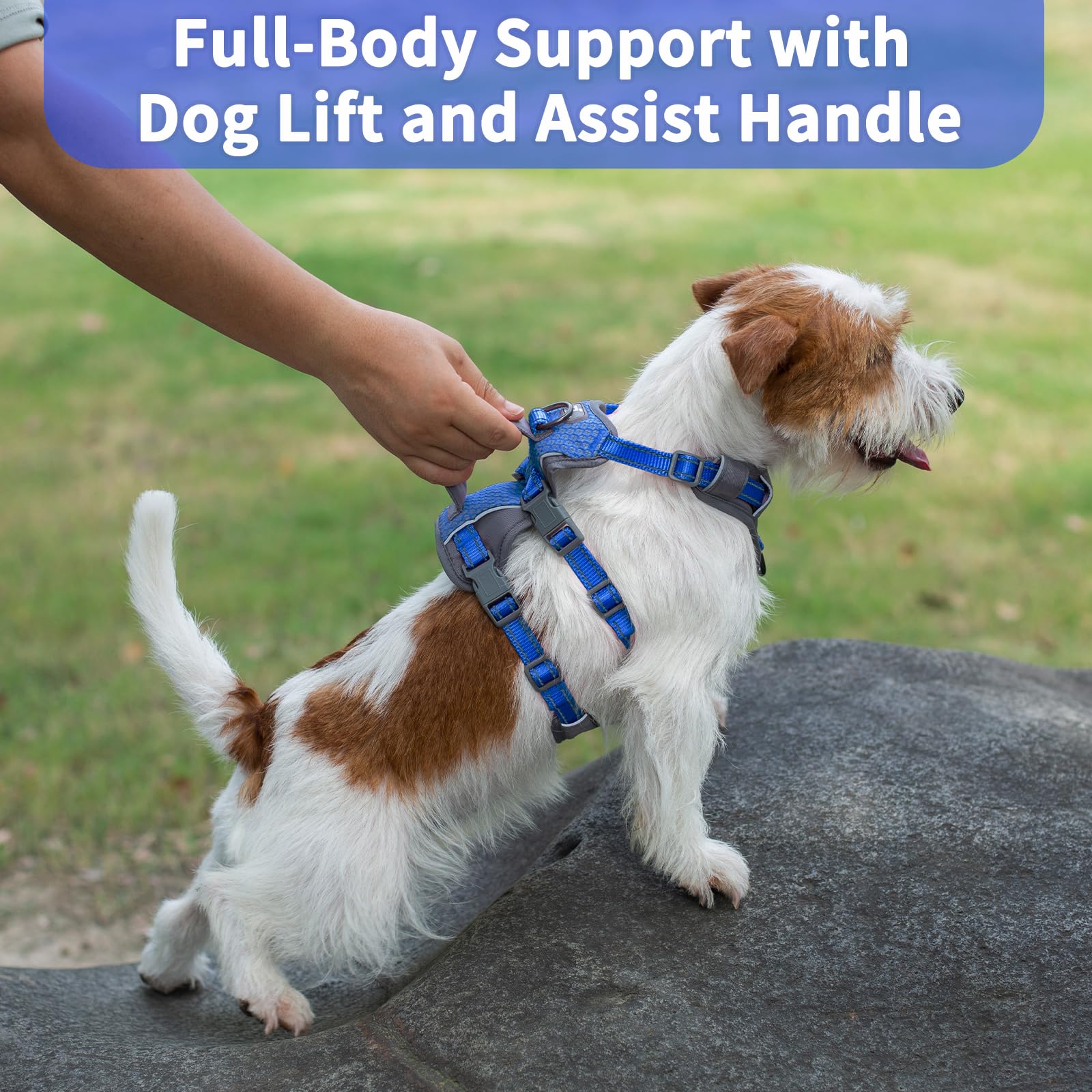 Huntboo Six-point adjustable harness for a precise, growth-friendly fit.