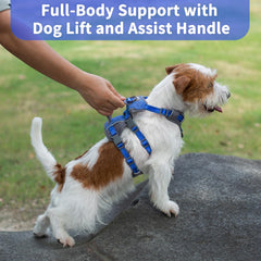 Huntboo Six-point adjustable harness for a precise, growth-friendly fit.