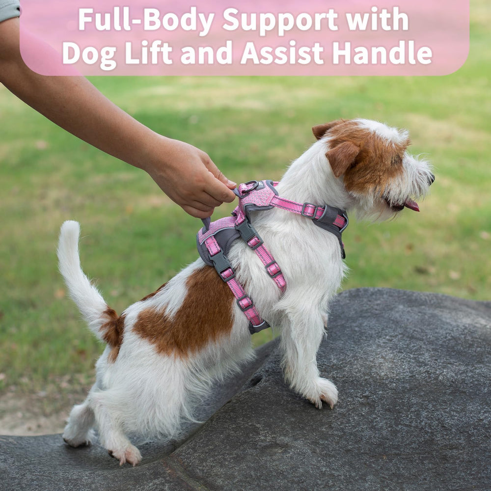 Huntboo padded handle with load dispersing chest panel for support