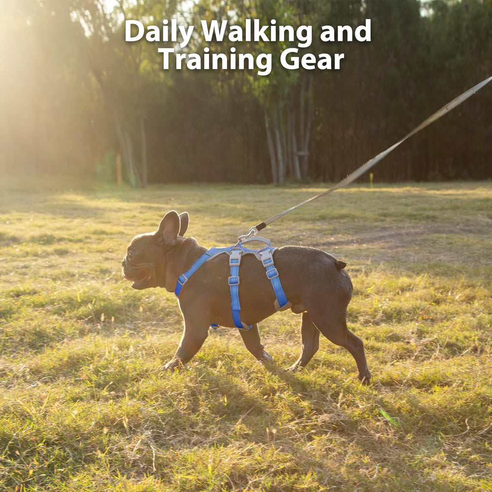 Huntboo soft padded sponge harness reduces skin friction during activity.