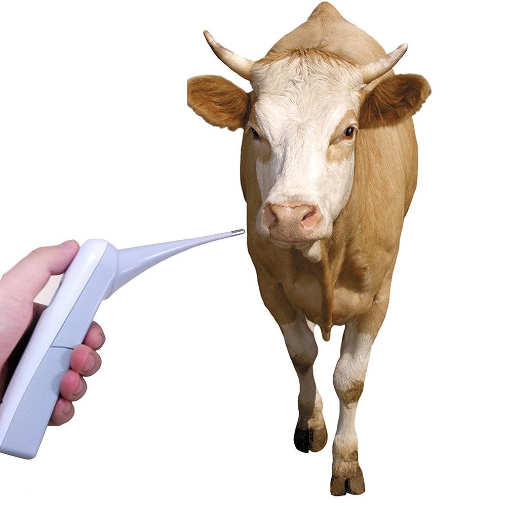 Hurinan rectal thermometer battery-powered convenience for clinics, shelters, and home care.