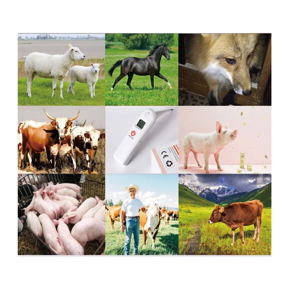 Hurinan rectal thermometer compact probe supports checks in animals of all sizes.