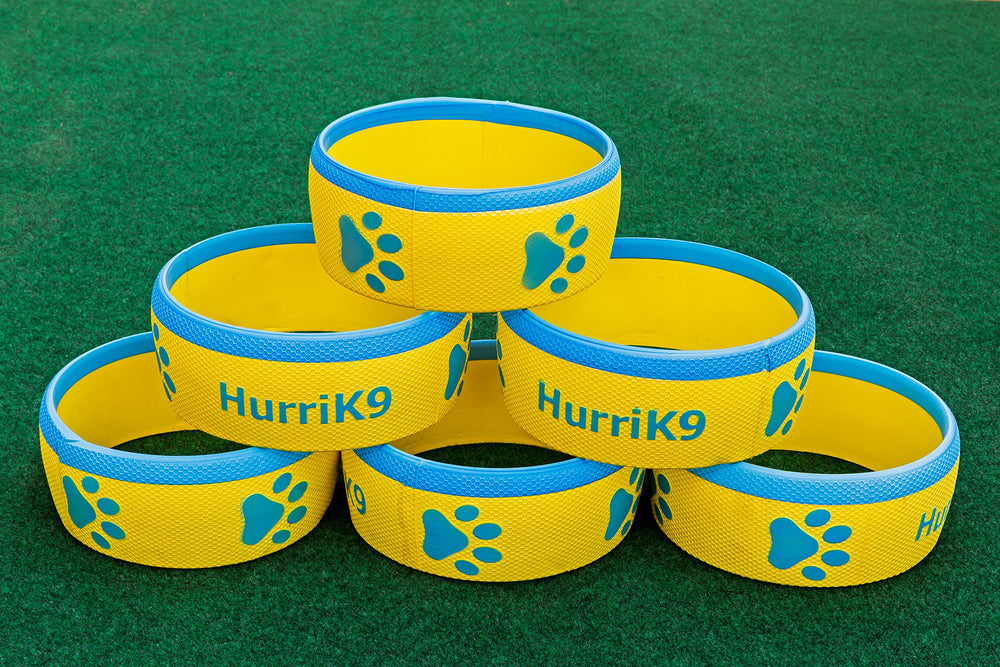 HurriK9 six-pack rings ready for quick replacement during playtime