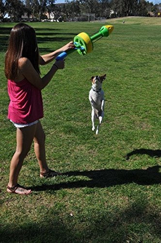 HurriK9 replacement rings set highlights safe materials used with dogs