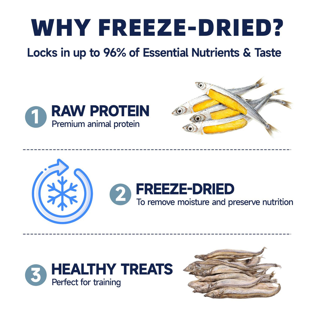 HUWZZE Capelin Treats label view underlines clean ingredients and absence of artificial additives