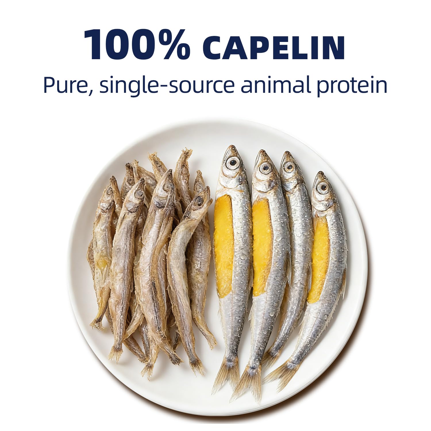 HUWZZE Capelin Treats whole capelin image highlights natural calcium and omega-3