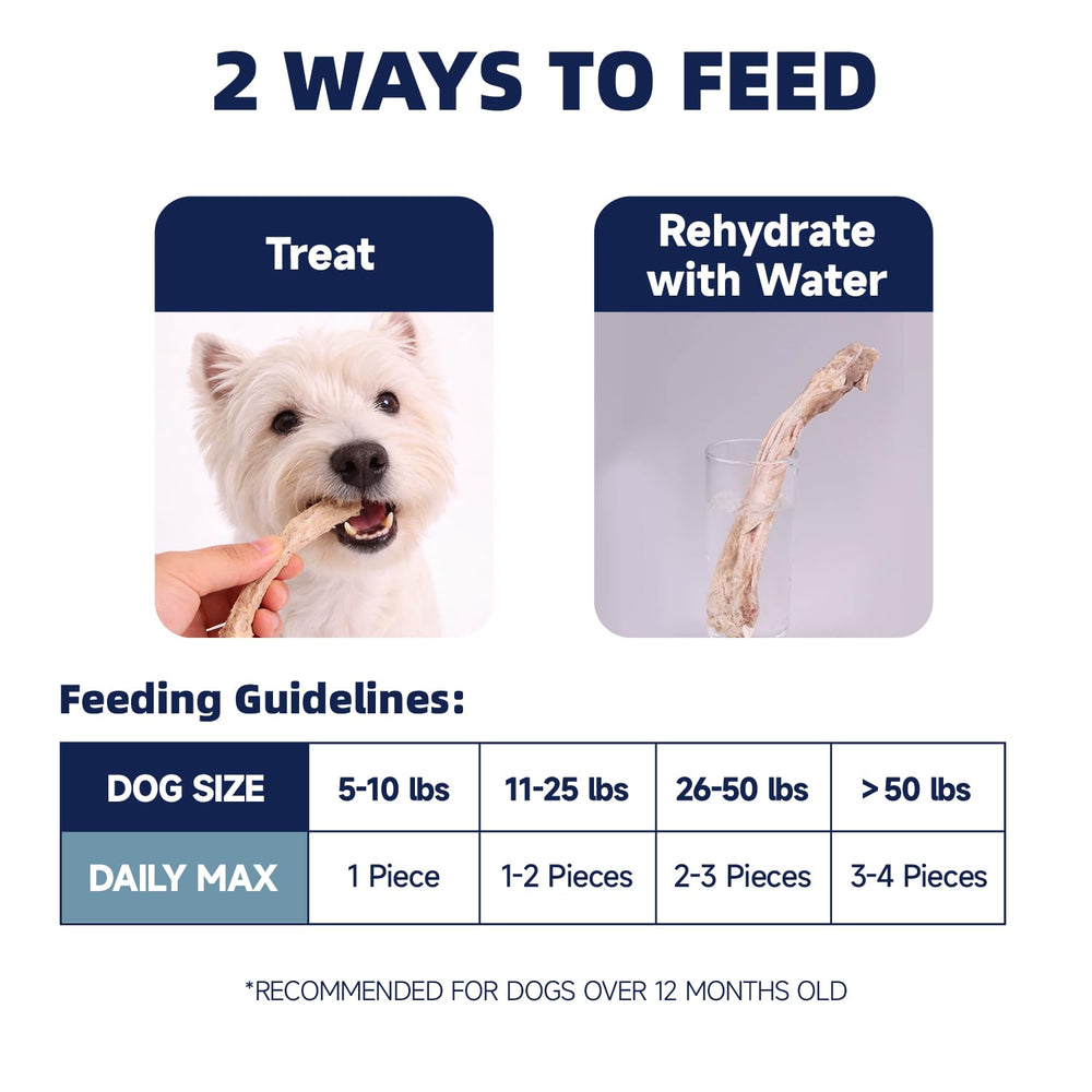 HUWZZE dog enjoying treat during training session