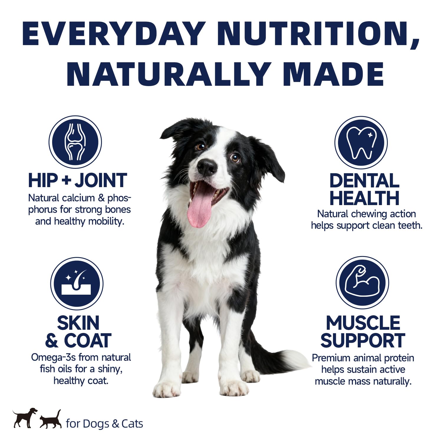 HUWZZE Freeze-dried capelin pieces photo emphasizes protein-rich snack for active pets