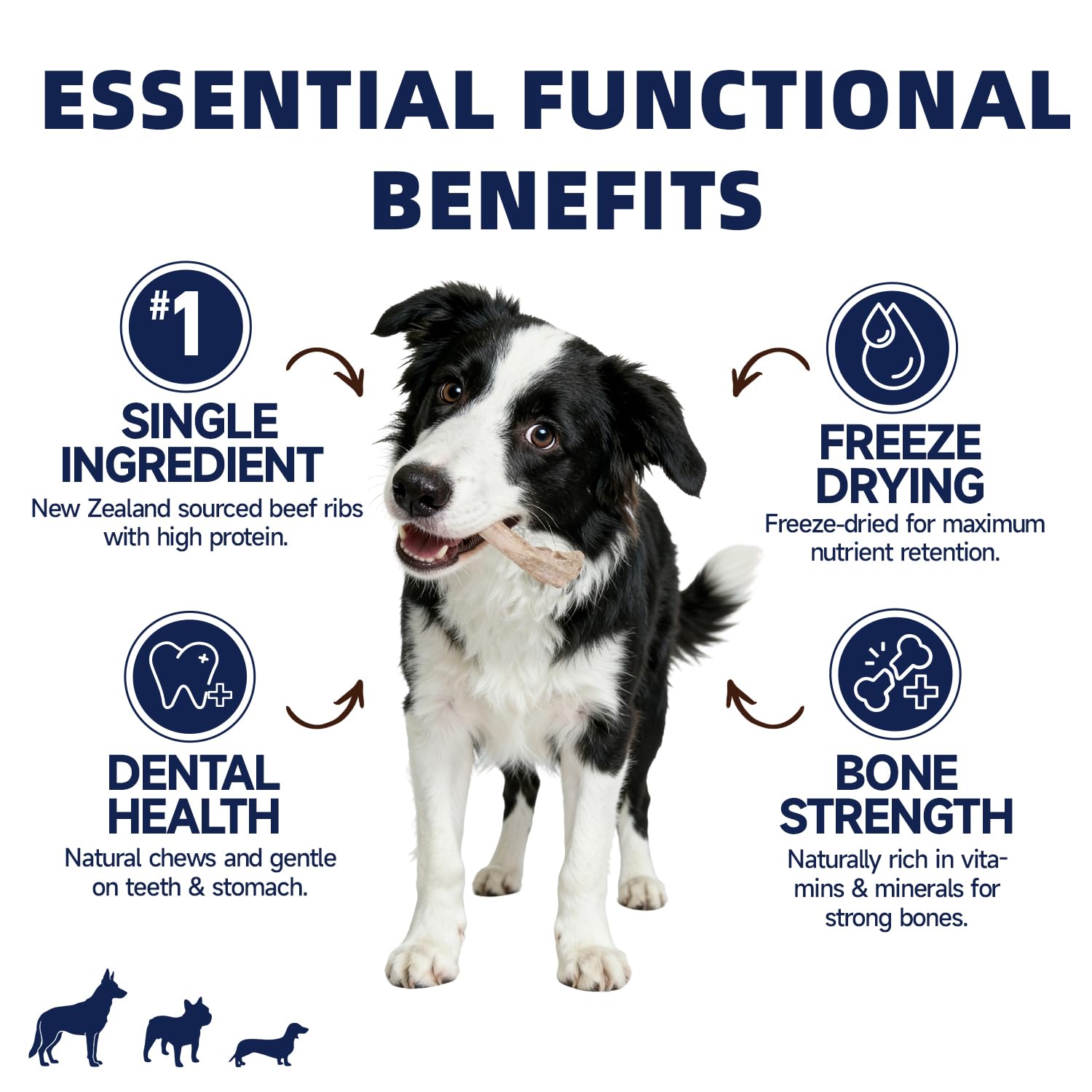HUWZZE dog-chewing veal rib treat demonstrates engaging reward