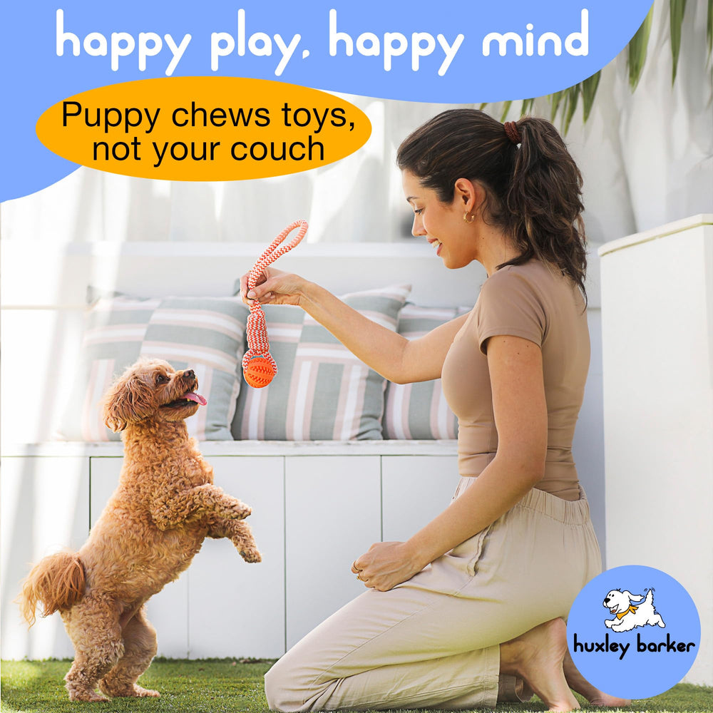 Huxley Barker Cozy blanket provides warmth and security in crates or car rides