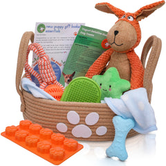 Huxley Barker Premium Puppy Starter Kit toy box ready for bonding playtime