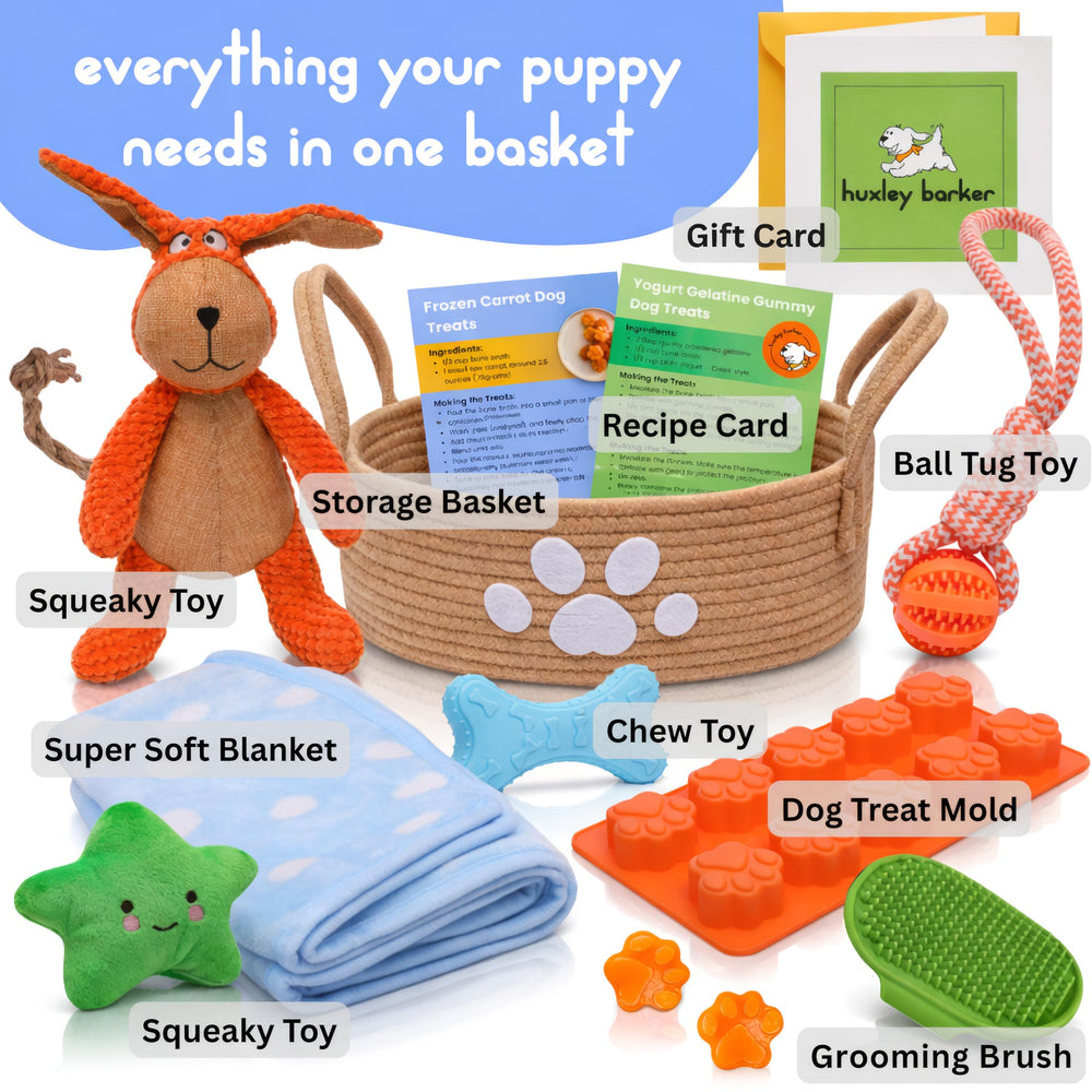 Huxley Barker TPE chew bone durable for gentle teething and chewing sessions