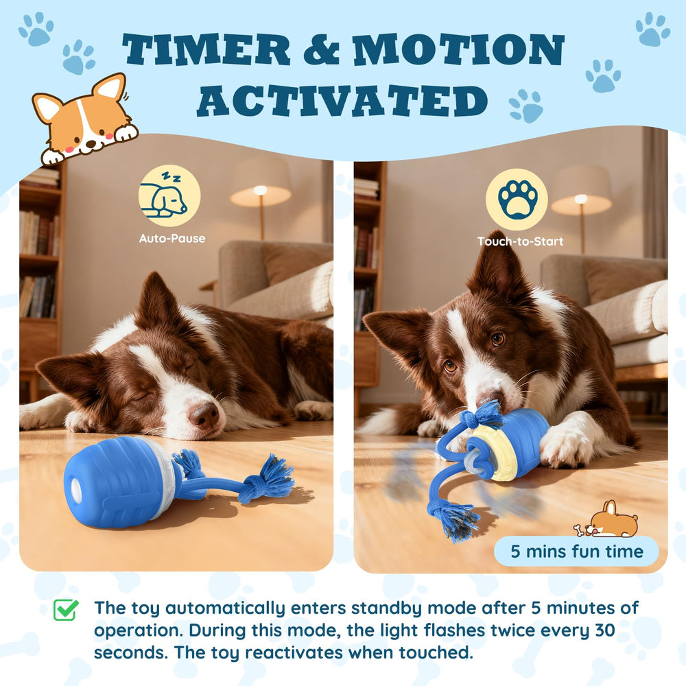 HVUATQ automatic moving ball rolling on carpet engaging boredom-prone dogs.