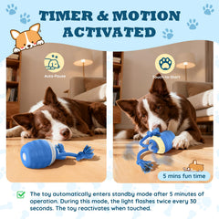 HVUATQ automatic moving ball rolling on carpet engaging boredom-prone dogs.