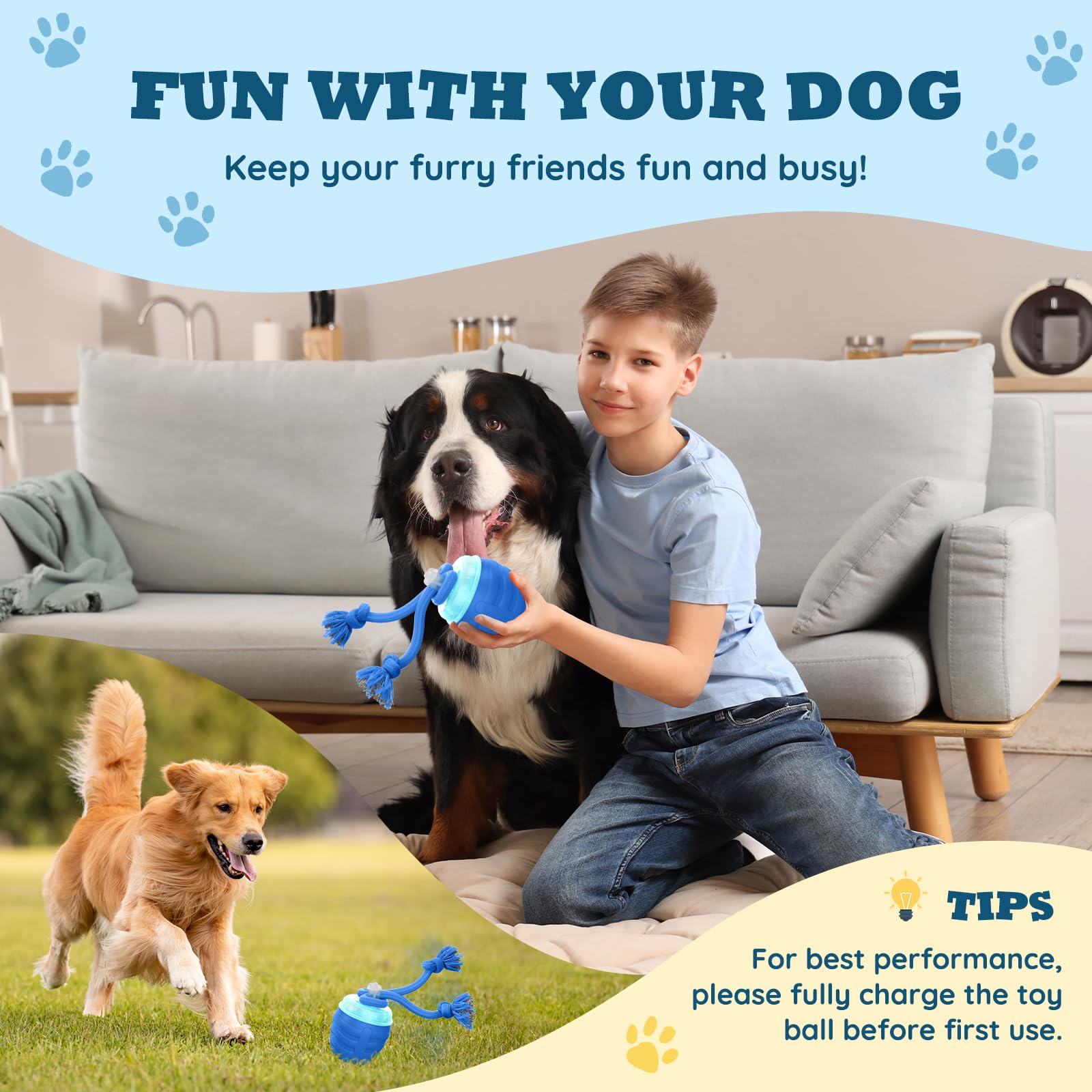 HVUATQ chase buddy toy small dogs action shot encourages active fetch sessions.